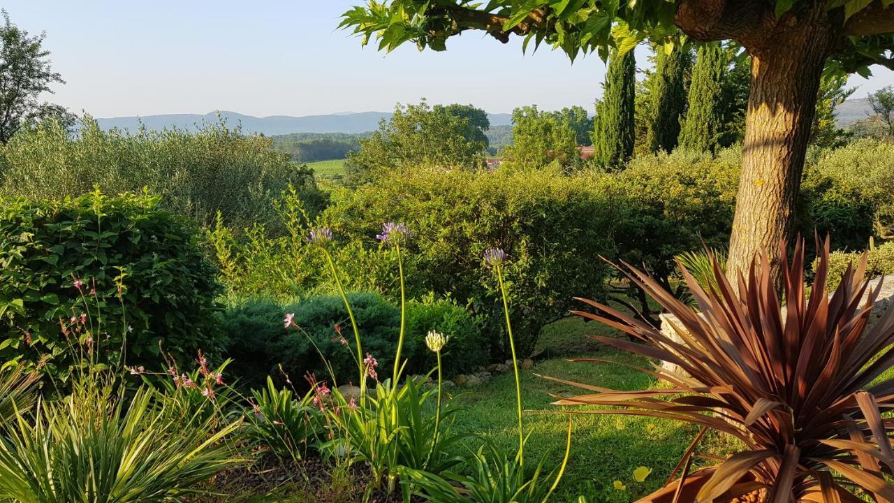 Pierres Blanches Bed & Breakfast Cotignac Dış mekan fotoğraf