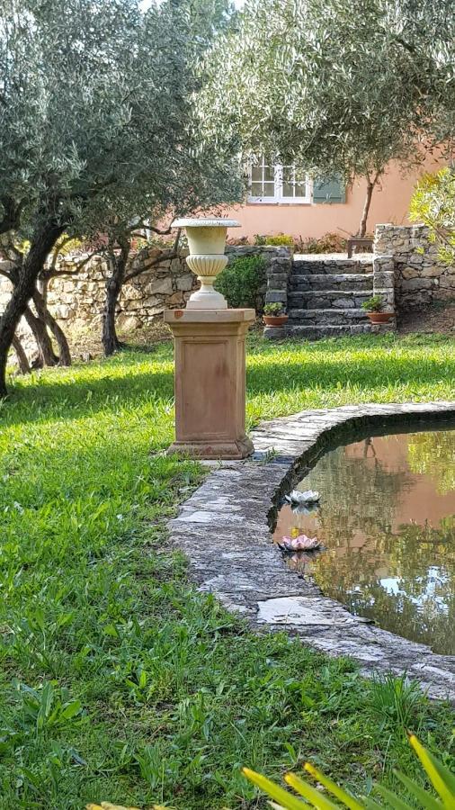 Pierres Blanches Bed & Breakfast Cotignac Dış mekan fotoğraf