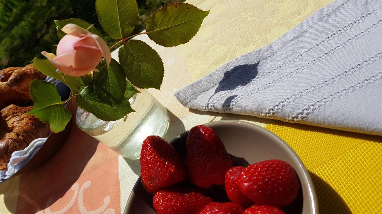 Pierres Blanches Bed & Breakfast Cotignac Dış mekan fotoğraf