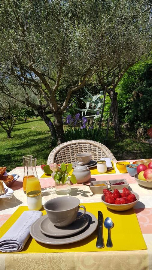 Pierres Blanches Bed & Breakfast Cotignac Dış mekan fotoğraf